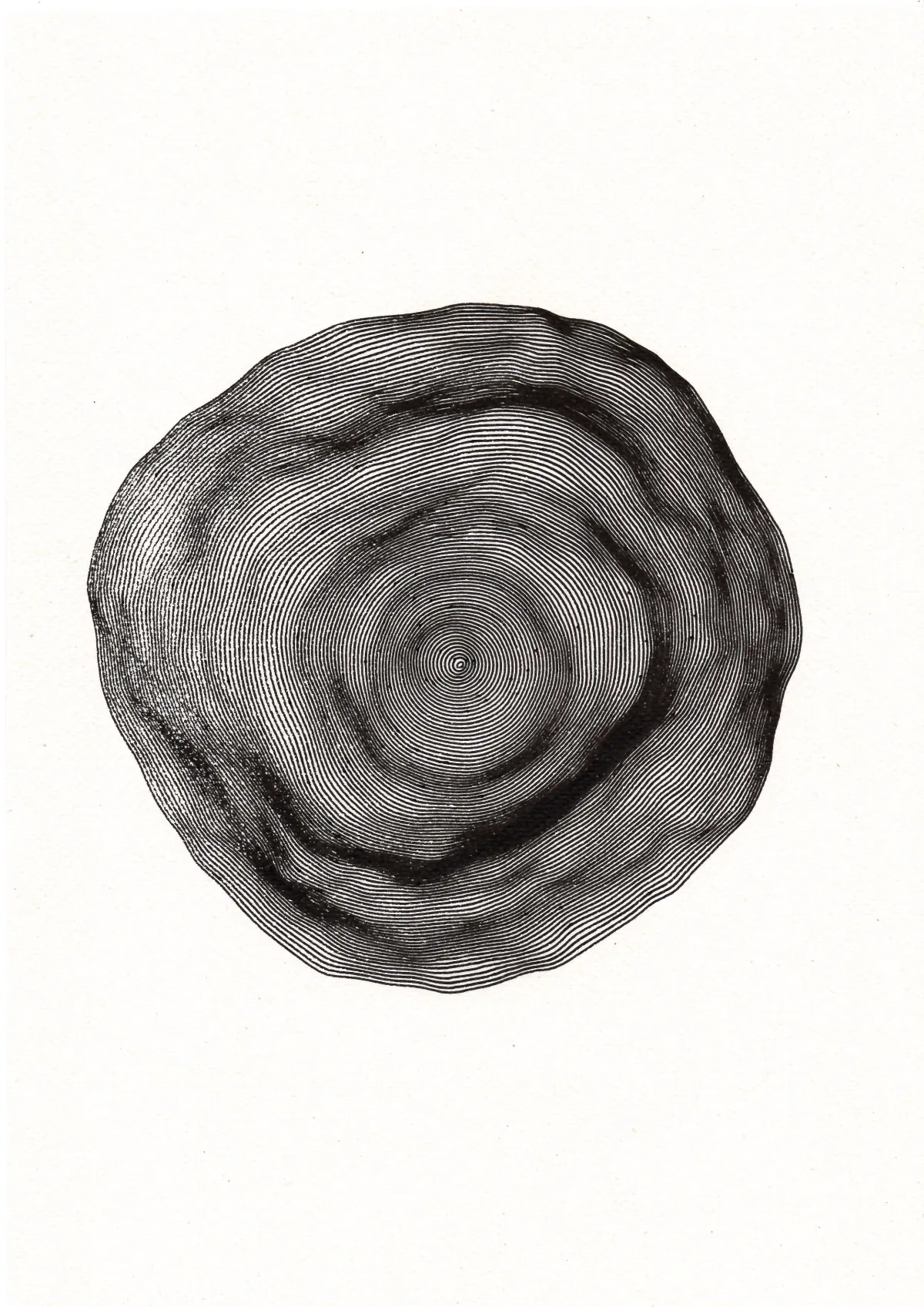 Red and black concentric circles drawn with a pen plotter on off-white paper.