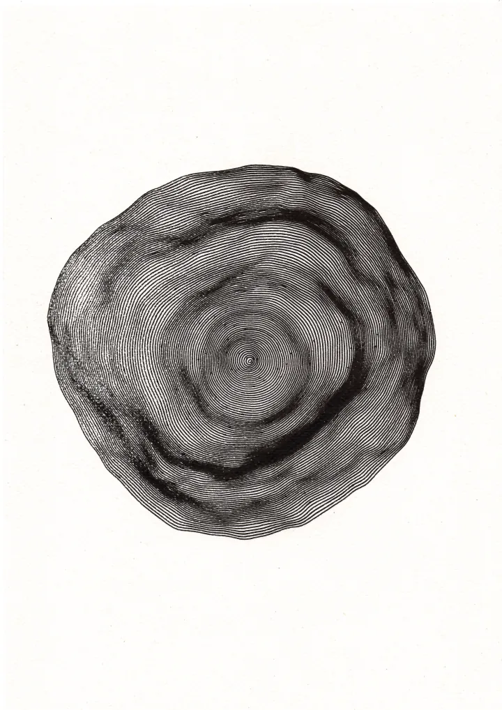 Black concentric noisy circles forming uneven bands on off-white paper.