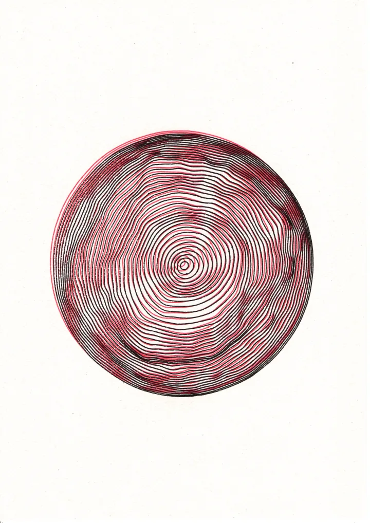 Red and black concentric noisy circles plotted together on off-white paper.